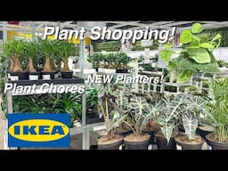 IKEA's Exciting New Planters 2025 | What Plants I Placed in the Kitchen | Tackling Plant Chores!