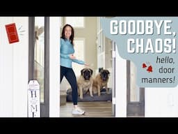 Door Manners For Dogs | 5 EASY Steps To Reclaim Control Over The Chaos | FORCE-FREE