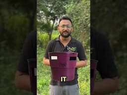 Effective Pest Control with Pheromone Traps for Palm Farmers | Organic Pest Management Solution