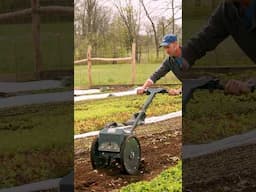 "Wheel Hoe On Steroids" - Tilmor E-Ox Makes Gardening Easier!