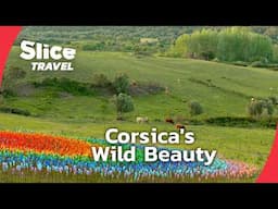 Corsica: Land of Rivers and Tradition | SLICE TRAVEL