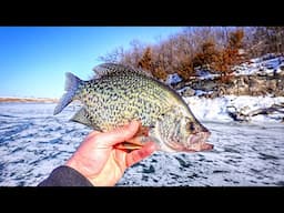 Turning This 13" CRAPPIE Into 200 POUNDS OF FISH!!! (Monster After Monster)