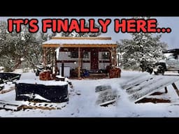 SNOW At My Northern AZ Off-Grid Homestead & Conversations w/ Meadow