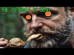 The Internet is Dead (Goodstream 210)