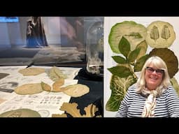 Exploring Chlorophyll Printing | Dianne Bos