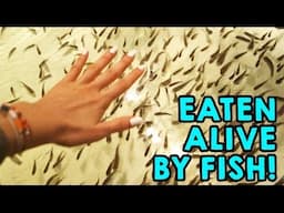 EATEN ALIVE BY FISH! (Chill Cray Cali, ep. 1)