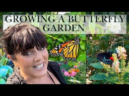 Exciting Updates from my Florida Butterfly Garden:  Native Plants, Butterflies & Sunny Days Ahead