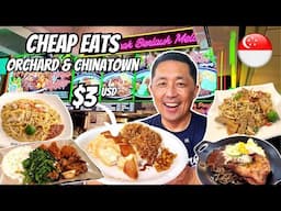 Singapore on a Budget! 🇸🇬 Cheap Meals at CHINATOWN & ORCHARD STREET SINGAPORE!