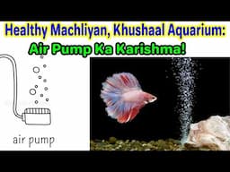 Healthy Machliyan, Khushaal Aquarium: Air Pump Ka Karishma!