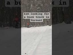 Looking for a buck track in Vermont.  #hunting #tracking #Vermont #ebikes #orangearmy #whitetails