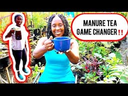 Grow Your Garden Overnight With Manure Tea!