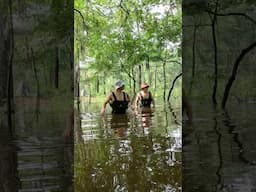 Hunting for alligators and camping in heavy rainstorm. #swamp #rainstorm #thunderstorm