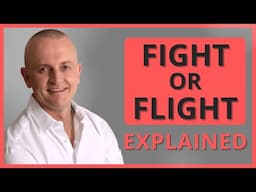 Fight Flight Freeze Explained