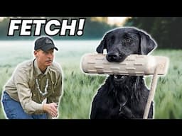 Teach ANY Dog the Fetch Command By Doing This!