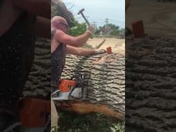 Chainsaw.. Monster Firewood Log #firewood #firewoodbusiness #shorts