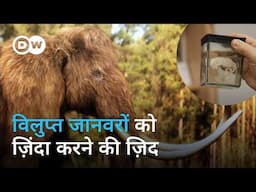 मैमथ और सफेद गैंडे वापस लौट आए, तो क्या होगा? [Can we reverse extinction?] | DW Documentary हिन्दी