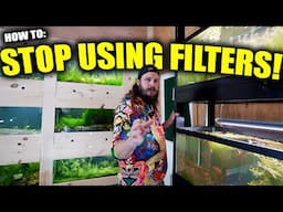 THE ZERO FILTER AQUARIUM  - Nature inspired fish tanks with Lucas Bretz LRB and king of DIY