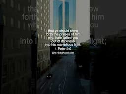 1 PETER 2:9 | Scripture Of The Day #bibleverses #shorts