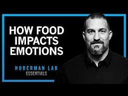 How Foods & Nutrients Control Our Moods | Huberman Lab Essentials