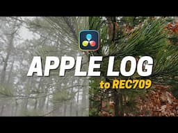 Easily Convert APPLE LOG To REC709 in Davinci Resolve 18