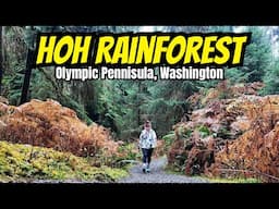 This place is a MUST visit! | Hoh Rainforest