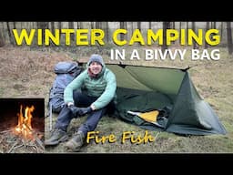 WINTER CAMPING ALONE IN A BIVVY BAG UNDER A TARP IN A HUGE FOREST! Fire Cooked Fish Dish, Camping UK