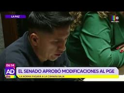 Senado aprobó modificaciones al PGE