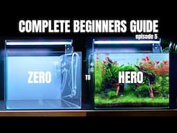 EP:5 Complete Aquascaping Beginners Guide - Adding Fish!