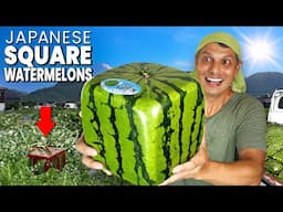 How Japanese Square Watermelons are Made & Eaten ★ ONLY in JAPAN