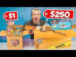 Buying $1 vs $250 Live Sea Creature Mystery Boxes