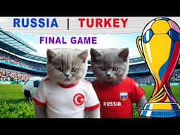 CAT EURO CUP FINAL GAME! RUSSIA VS TURKEY KITTENS FOOTBALL!