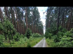 77km ride through Berlin north to the lakes and beautiful forest, on a city hire bike!