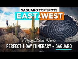 290: Saguaro National Park in One Day - Perfect 1 Day Itinerary for Saguaro East & West