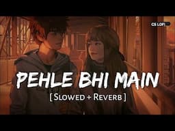 Pehle Bhi Main (Slowed + Reverb) | Vishal Mishra | Animal | CS Lofi | Bollywood Song | #triptidimri