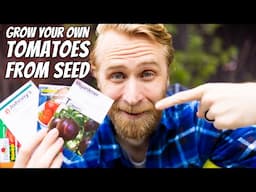 How to Plant Tomato Seeds for Beginners | A Step-by-Step Guide With Demos and Examples