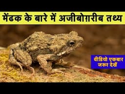 मेंढक और सांप के बीच में कॉमन है यह बात || क्या आप जानते है ?? Frog and snakes 🐍