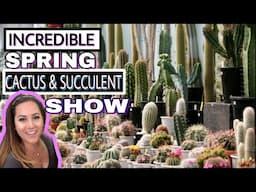 plant shopping | CACTUS & SUCCULENT PLANT HAUL