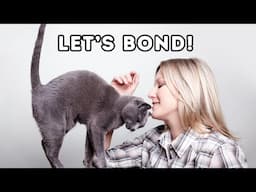 7 Proven Ways to Deepen Your Bond with Your Cat