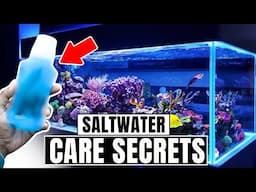 10 Things About Saltwater Aquariums I WISH I Knew Before I Started