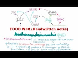 Food web | Ecology