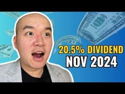 20.5% dividend, 150% revenue growth, mutual fund plans - Nov 2024 Monthly Investor update