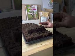 Make Soil Blocks With Me! #seedstarting #asmr