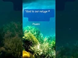 Psalm 46:1 God is our refuge #psalm461 #faithingod #christianencouragement