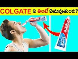 కోల్గేట్ తింటే ఏమవుతుంది? | What if We Ate Colgate? | Most Amazing Facts | Unknown Facts Telugu