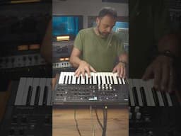 Michael Jackson "Thriller" on my Korg WaveState - #shorts #wavestate #korgsynth #thriller