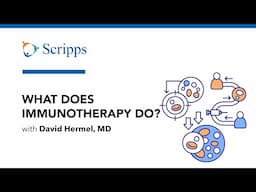 Oncologist Shares Top Immunotherapies for Cancer Patients with David Hermel, MD | San Diego Health