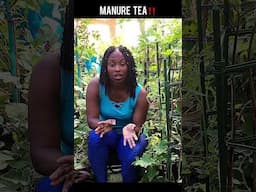 Grow Your Garden Overnight With Manure Tea‼️