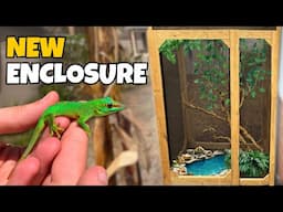 How to Build an Outdoor Reptile Enclosure!! (INSANE)