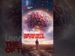 TRAILER: UNVEILING THE SECRETS OF THE BRAIN