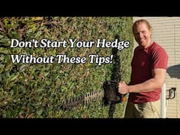 Perfect Hedging Made Easy: Step by Step Beginner’s Guide